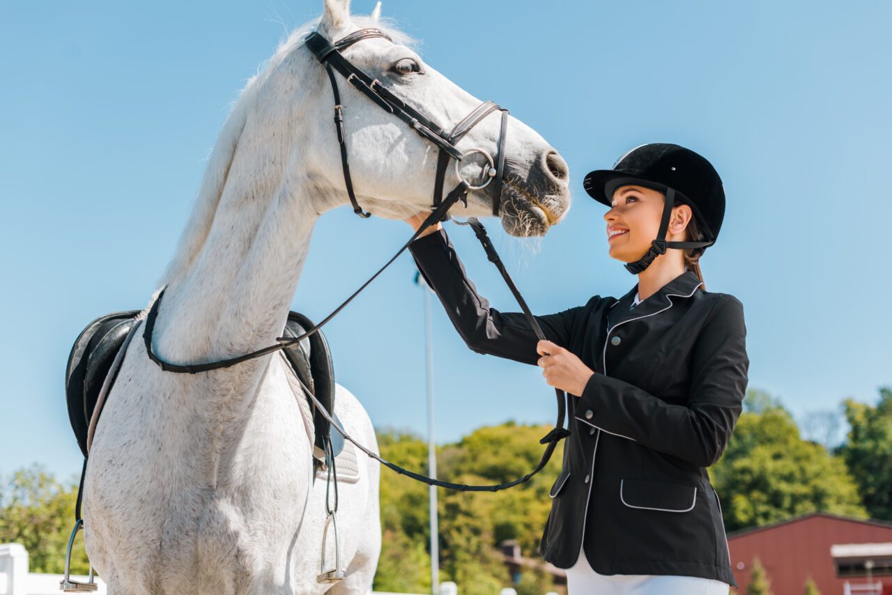 Reitsport und Sattlerei Preiß - Sattelverkauf und Sattelanpassung