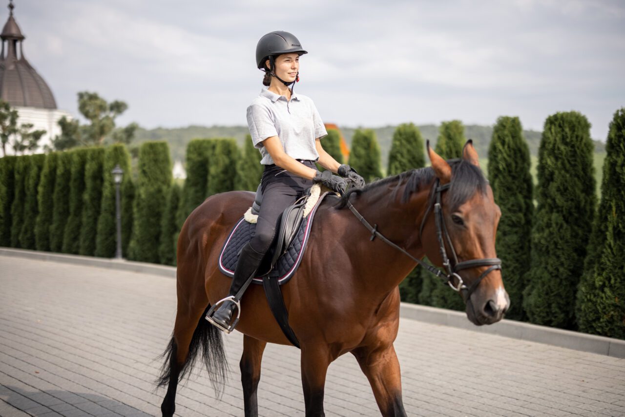 Reitsport und Sattlerei Preiß - Sattelverkauf und Sattelanpassung
